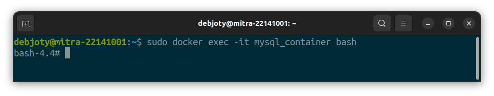 Screenshot: 6.3: Launch MySQL Container in Interactive Mode