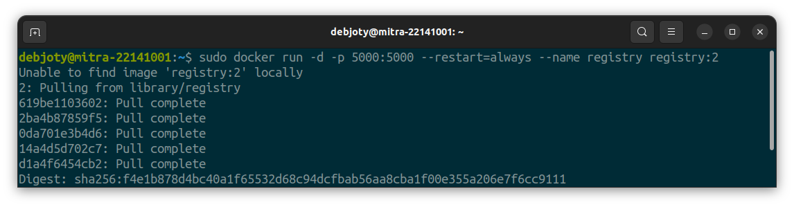 Screenshot: 8.2: Run Docker Registry as a Container