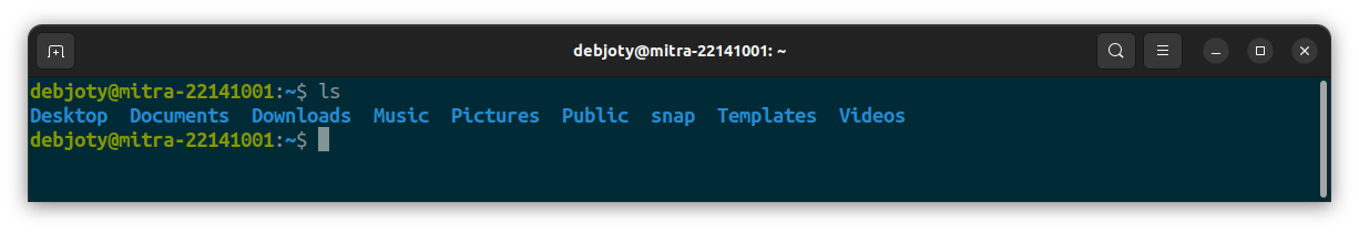 Screenshot: 11. ls