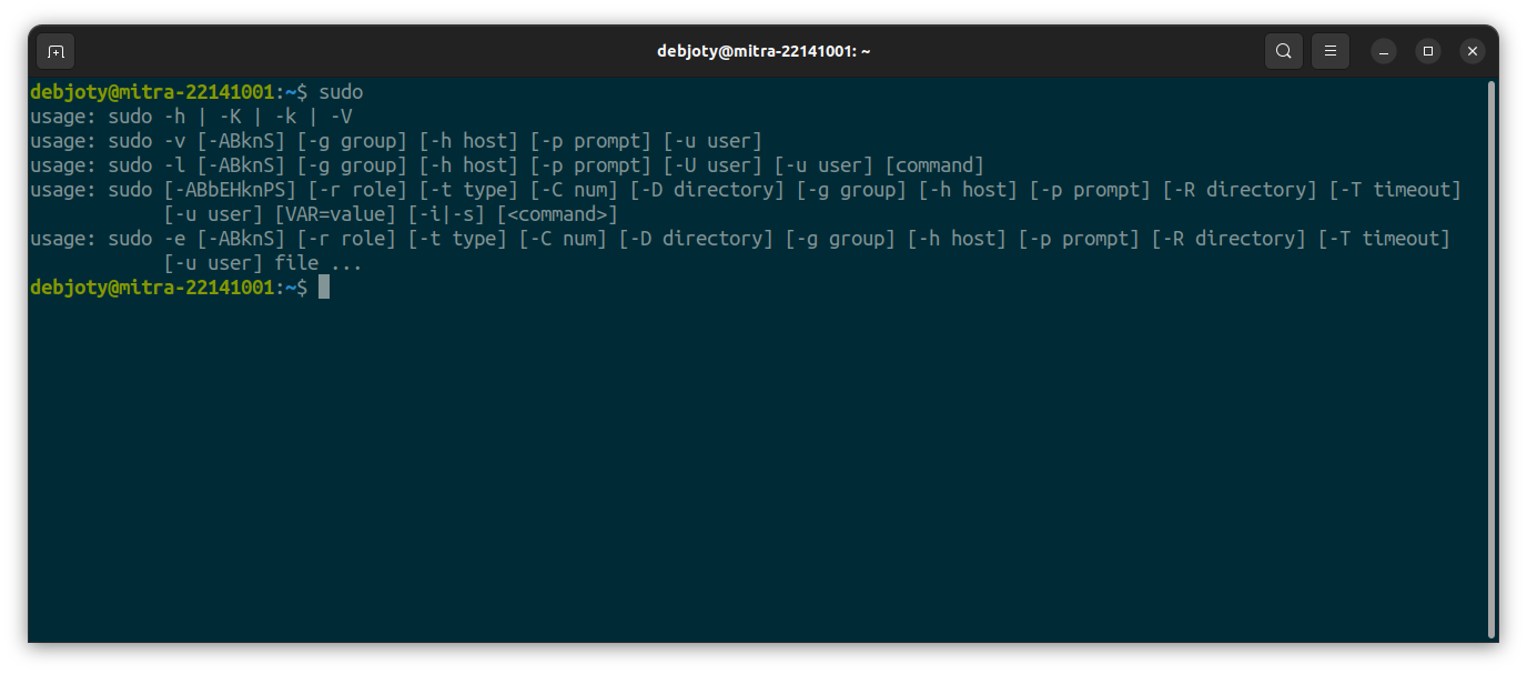 Screenshot: 1. sudo